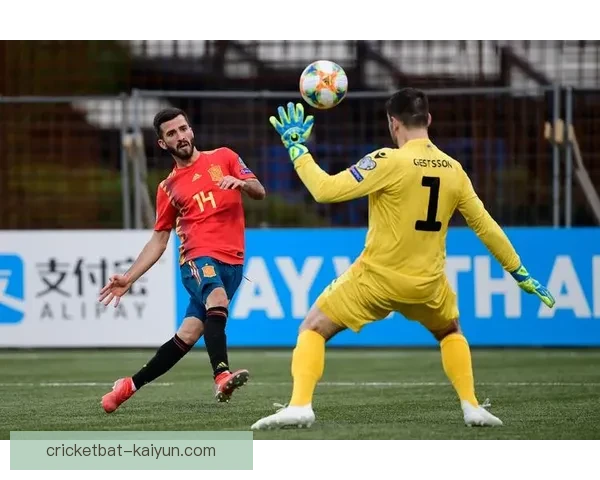 加亚助攻数据分析，表现稳健引发关注