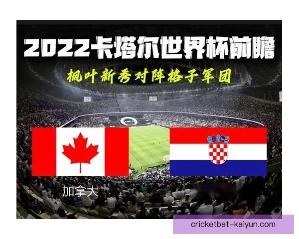 足球世界杯看点：热门球队表现分析及赛程安排展望