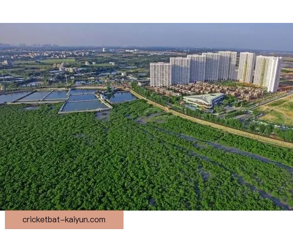 北京国安绿色主场建设持续推进，展现环保理念与社区发展